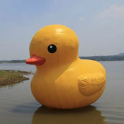 water inflatable duck